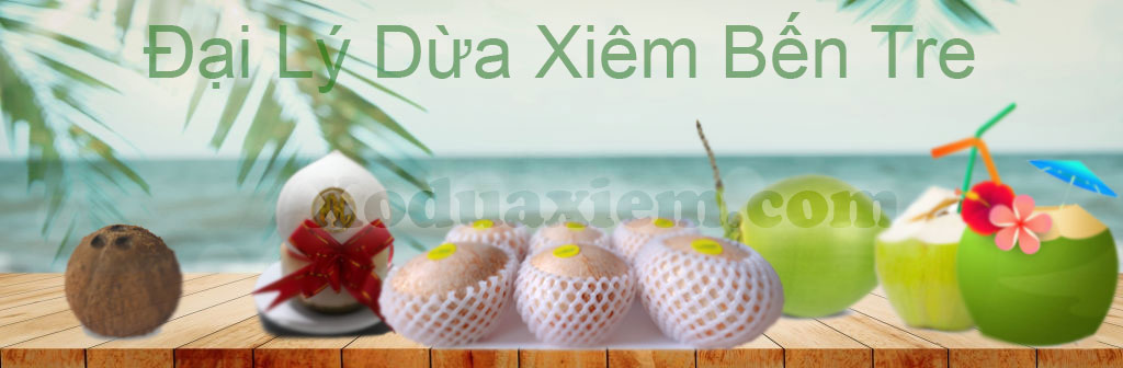 Banner của vựa dừa xiêm bến tre tại tp HCM